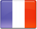 traduceri franceza